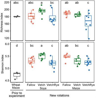 Leguminous cover crops and soya increased soil fungal diversity and suppressed pathotrophs caused by continuous cereal cropping